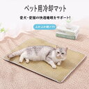 ペットマット ペット マット ペット用マット 敷パッド 犬猫マット 犬用 猫用 いぬ ネコ 寝具用品 夏 夏用 籐 暑さ対策 快適 コンパクト 持ち運び シンプ...