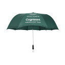 Aston Martin F1 Team Foldable Umbrella AXg}[eB ItBV Au P O[