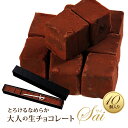 生チョコレート 10粒入 チョコ 生チョコ 手提げ袋 母の日 プレゼント 誕生日 おしゃれ お礼 お菓子 ギフト スイーツ プチギフト 洋菓子 チョコレート S...