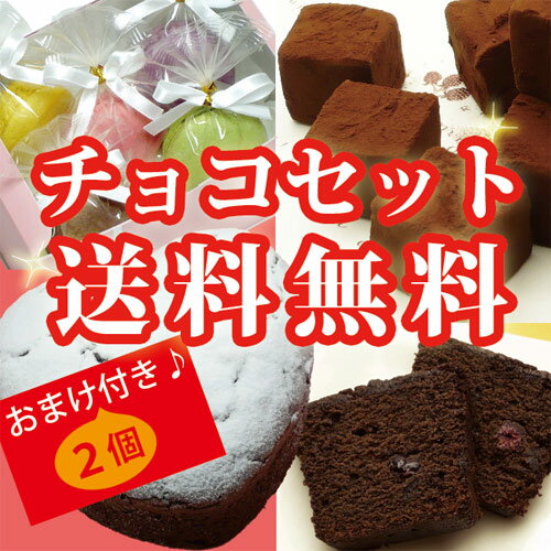 【送料無料】２０％～２５％OFF おまけ付き バレンタインにおすすめ プレミアムチョコレートセット【ネット限定】（北海道・沖縄は送料500円）[凍]
