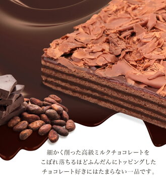 バースデーケーキ 誕生日ケーキ チョコレートケーキ 送料無料 冷蔵便[冷] チョコ 大人 子供 ボヌール・カレ