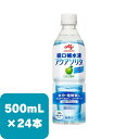 アクアソリタ 500ml 24本 りんご風味 ケース販売 味の素 ネスレ 経口補水液 熱中症 脱水 発汗 個別評価型病者用食品 消費者庁認可 ナトリウム ぶどう糖 カリウム イオン 電解質 宅配便