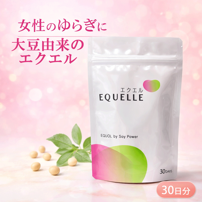 エクエル パウチタイプ 120粒入り 30日分 大塚製薬 エクオール 大豆 イソフラボン 女性 ゆらぎ期 健康 美容 大豆胚芽 メール便