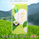 2025年 新茶 【発送できます】静岡茶 天竜茶 『初摘み』新茶 100g 遠州「山のお茶」【ネコポス 送料無料】【静岡新茶 浅蒸し煎茶 緑茶 日本茶】