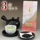 静岡天竜茶 「高級やぶ北茶」 100g 3袋セット 遠州 山のお茶 浅蒸し茶 【ネコポス 送料無料】【やぶきた 静岡茶 浅蒸し煎茶 緑茶 日本茶 静岡茶天竜産】