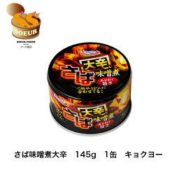 さば味噌煮大辛　145g　1缶　キョクヨー　缶詰　さば　極洋　辛い