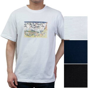 【FTS限定値下げ】プリントTシャツ 浮雲 葛飾北斎 富獄三十六景 東海道程ヶ谷 ホワイト ネイビー ブラック 2507FS 20par