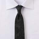 【 最大500円OFFクーポン★ P2倍中 】ネクタイ シルク 7センチ 7CM メール便 細め スリムタイ 黒 ステージ 成人式 発表会 結婚式 二次会 V系 ビジュアル ロック おしゃれ プレゼント シャツハウス ブランド メンズ 2509KS 20par