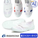 【送料無料・送料込(一部地域を除く)】MoonStar ムーンスター バイオTEF 02 バイオ TEF02 バイオテフ 02 キッズ ジュニア 子供靴 上履き...