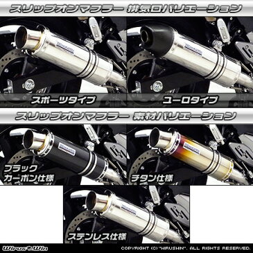 WirusWin SUZUKI GSR250(JBK-GJ55D) スリップオンマフラースポーツタイプ /ウイルズウィン