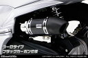 WirusWin PCX（EBJ-JF28） サイレンサー型 エアクリーナーKit ユーロタイプ ブラックカーボン仕様/ウイルズウィン