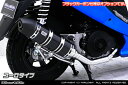 WirusWin GSR125(UTD44・UTD45T・UZD46) ロイヤルマフラー ユーロタイプ/ウイルズウィン