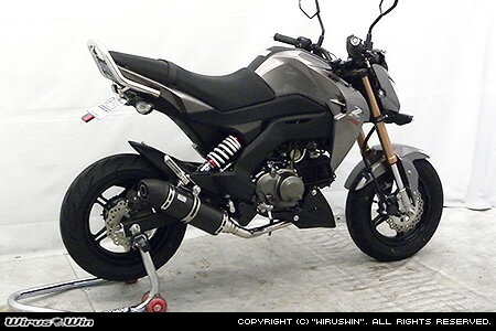WirusWin Z125 PRO(2BJ-BR125H) ����֥С� /�����륺������