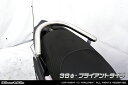 WirusWin 台湾 SYM JET S 38φタンデムバー ブライアントタイプ /ウイルズウィン