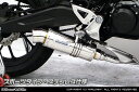 WirusWin CB125R 2BJ-JC79 ダイナミックマフラー スポーツタイプ ステンレス / ウイルズウィン