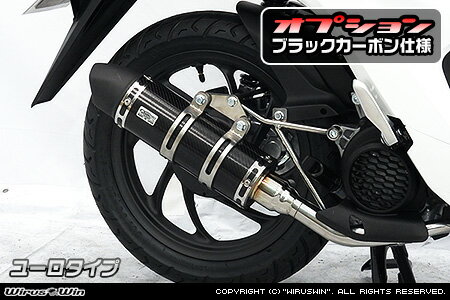 WirusWin ディオ110(8BJ-JK03) ロイヤルマフラー ブラックカーボン仕様 ユーロタイプ /ウイルズウィン