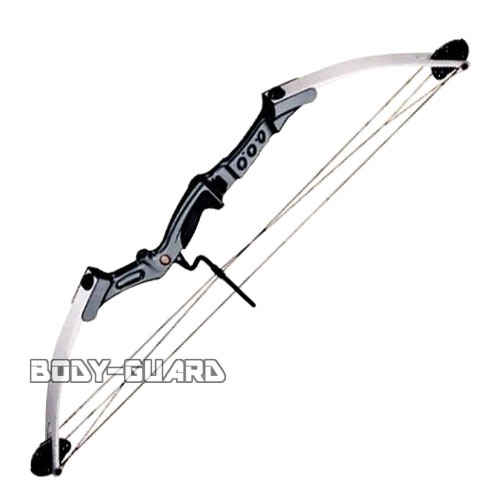 アーチェリーTWIN CAM コンパウンドボウ 65ポンド シルバー 上級者向け 弓 矢 スポーツ アーチェリー弓 滑車 ボウ 弓矢 スポーツ用品 アーチェリー...