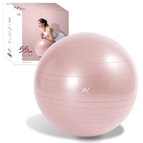 アルインコ(ALINCO) バランスボール 直径55cm 椅子 スツール 軽量 空気入れ付き 運動マニュアル付き ストレッチ フィットネ 送料無料