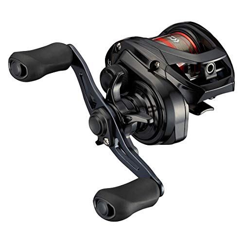 ダイワ(DAIWA) ベイトリール 21 PR100 3.5号糸付 送料無料