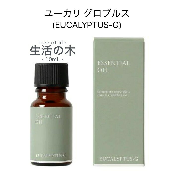 【生活の木】ユーカリ グロブルス 1