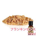 フランキンセンス 精油 10ml アロマ エッセンシャルオイル アロマオイル アロマストーン アロマディフューザー 天然 バルサム 樹脂 無添加 芳香 ルームフレグランス(4)