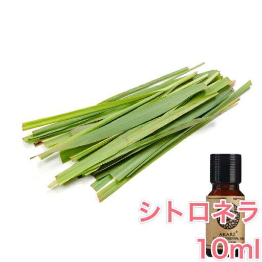 シトロネラ 精油 10ml アロマ エッセンシャルオイル アロマオイル アロマストーン アロマディフューザー 天然 柑橘 シトラス 無添加 芳香 ルームフレグランス 虫除け シトロネラ 精油 10ml アロマ エッセンシャルオイル アロマオイル アロマストーン アロマディフューザー 天然 柑橘 シトラス 無添加 芳香 ルームフレグランス 虫除け