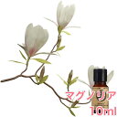 マグノリア (モクレン 木蓮) 精油 10ml アロマ エッセンシャルオイル アロマオイル アロマストーン アロマディフューザー 天然 フローラル 希少 無添加 芳香 ルームフレグランス