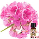 ゼラニウム 精油 10ml アロマ エッセ