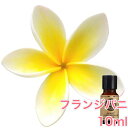 フランジパニ (プルメリア) 精油 10ml