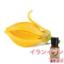 イランイラン 精油 10ml アロマ エッ