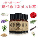 人気定番シリーズ 10ml×5本 セットア