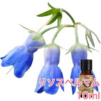 リソスペルマム (ホタルカズラ) 精油 10ml アロマ エッセンシャルオイル アロマオイル アロマストーン アロマディフューザー 天然 フローラル 希少 無添加 芳香 ルームフレグランス