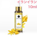 イランイラン 精油 10ml スポイト付 アロマ エッセンシャルオイル アロマオイル アロマストーン アロマディフューザー オリエンタル エキゾチック 無添加 芳香 ルームフレグランス