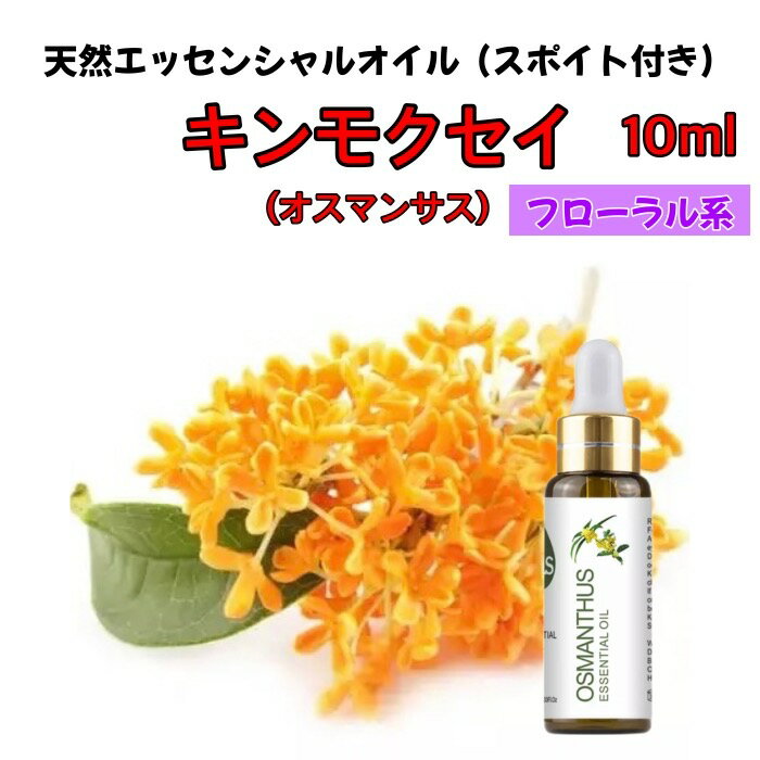 オスマンサス IOILS キンモクセイ 金木犀 精油 10ml スポイト付 アロマ エッセンシャルオイル アロマオイル アロマストーン アロマディフューザー フローラル 無添加 芳香 ルームフレグランスのサムネイル