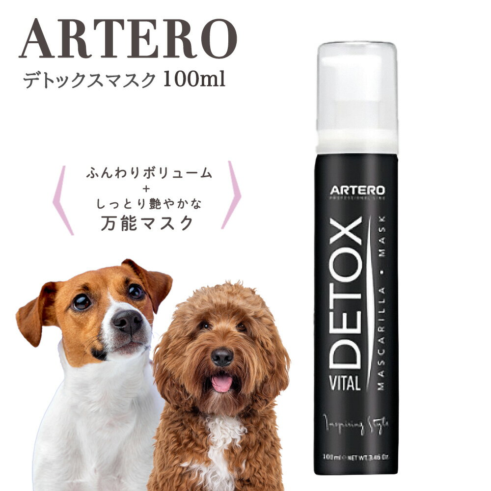 ARTERO アルテロ デトックスマスク 100