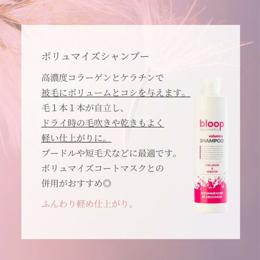 DOGOne公式店 ST-MART.2のbloop ボリュマイズシャンプー 200ml｜アングル2