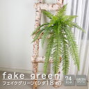 フェイクグリーン 観葉植物 リアル 人工観葉植物 シダ 造花 お手入れ不要 (グリーン)