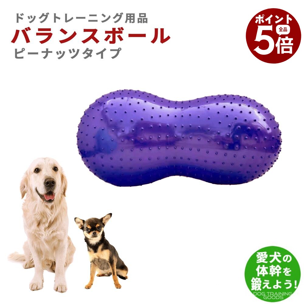 Rakuten - 【楽天スーパーSALE×全品さらにポイント5倍！ 6/4 20:00 〜 6/11 01:59まで】バランスボール 犬 ペット ピーナッツ型 ドッグバランスボール 小型犬 中型犬 大型犬 体幹トレーニング ピーナッツバランスボール 90cm