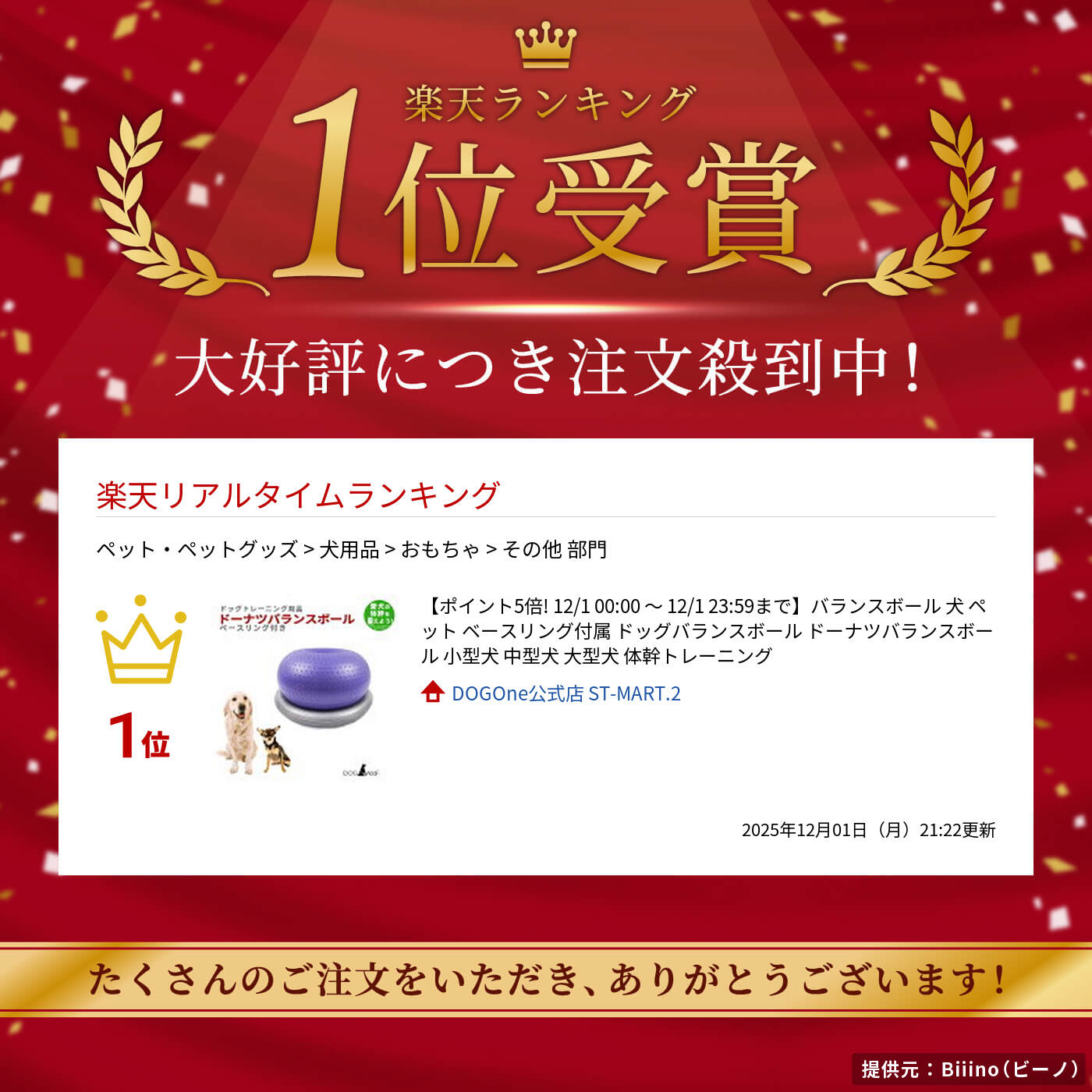 バランスボール 犬 ペット ベースリング付属 ドッグバランスボール ドーナツバランスボール 小型犬 中型犬 大型犬 体幹トレーニング 2