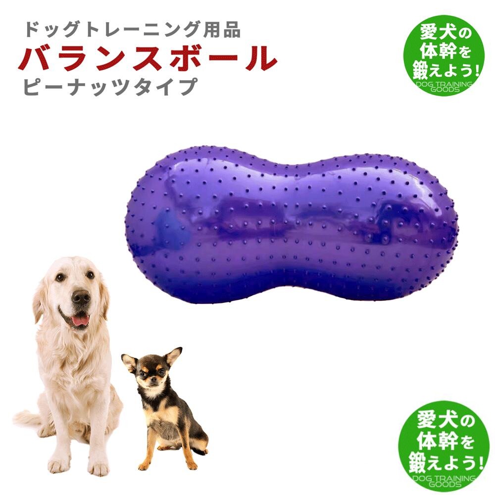 バランスボール 犬 ペット ピーナッツ型 ドッグバランスボール 小型犬 中型犬 大型犬 体幹トレーニング ピーナッツバランスボール 90cm