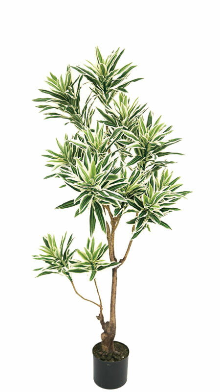 【ソングオブインディア・人工観葉植物・】送料無料　フェイクグリーン　インディア1250