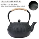 白湯 鉄瓶 鋳物 鉄分補給 0.6L IH対応 ケトル 炭火 電気コンロ ガス 鉄製 鉄分不足 茶道道具 直火可 鉄やかん 鉄瓶兼用急須 鉄瓶