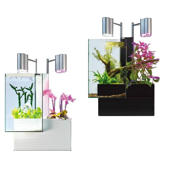 便利グッズ プレゼント お勧め 魚と植物がセットで楽しめる　家庭用アクアポニックス　brio35(ブリオ)　50Hz地域用(東日本)　ホワイト・BRIO35-WE 男性 女性 送料無料