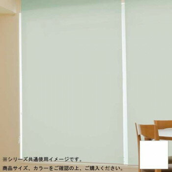 アイデア商品 面白い おすすめ タチカワ ファーステージ ロールスクリーン オフホワイト 幅40×高さ120cm プルコード式 TR-1001 スノー 人気 便利な お得な送料無料