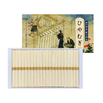 送料無料 おすすめ 山一 手延べひやむぎ 11人前 HI-30 楽天 オシャレな 通販