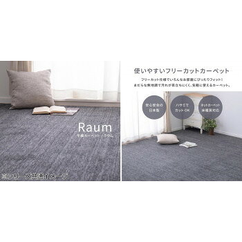 ペットにやさしい平織カーペット ラウム 江戸間3帖 ベージュ 約176×261cm 600017530 人気 商品 送料無料 [2]