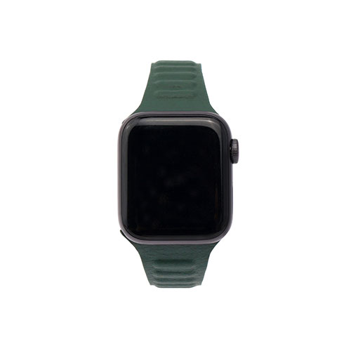 アイディア 便利 グッツ WEARPLANET Slim Line マグネットリンクバンド for Apple Watch 45/44/42mm Hooker's Green WP23193AWGR