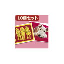 インクジェット用紙 10個セットインクジェットプリンタ用紙・厚手(A6) JP-AGA6X10 オススメ 送料無料