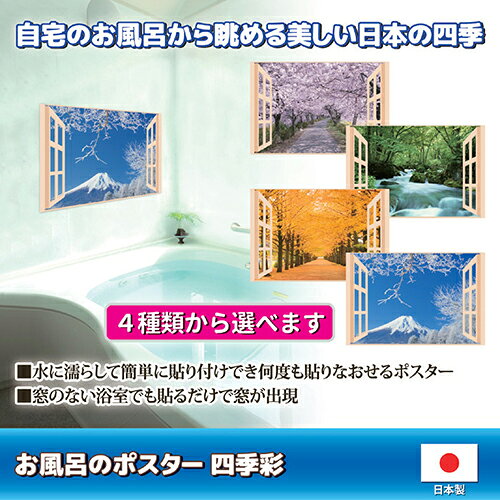 人気 にんき ninnki 御歳暮 イベント みやげ 挨拶 お得 な送料 おみやげ 贈り物 クリスマス お歳暮 便利グッズ アイディア商品 昭プラ お風呂のポスター 四季彩 奥入瀬の渓流 + 薬用入浴剤ギフトセット B6133529+8095652 人気 おすすめ ssk-1-18441845 創造生活館 サンプル画像2