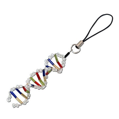 理科教材・備品 人体・からだ・模型・標本 生命の神秘 DNAモデルのストラップをビーズでつくろう DNAのしくみを学習できる解説付ビーズを使って DNAモデルのストラップを作るキットです DNAの…